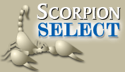 Attorney Web Design